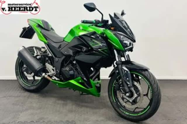 Kawasaki Z300 (2016) thumbnail 1
