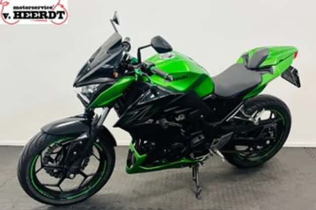 Kawasaki Z300 (2016) thumbnail 2
