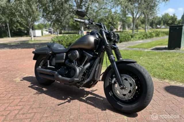 Harley-Davidson Chopper 103 FXDF Dyna Fat Bob (2012) thumbnail 1
