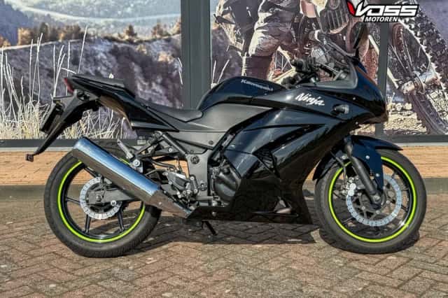 Kawasaki EX 250 R (2009) thumbnail 1