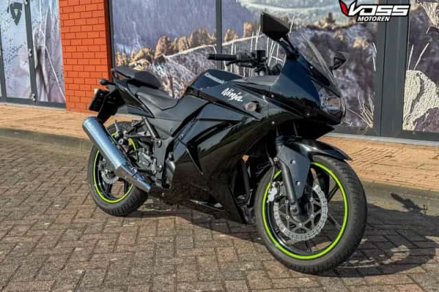 Kawasaki EX 250 R (2009) thumbnail 2