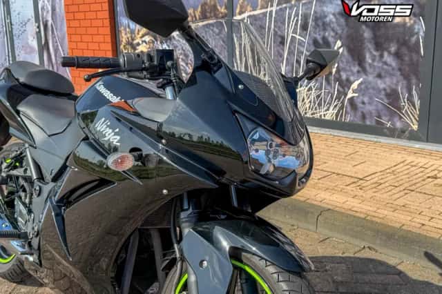 Kawasaki EX 250 R (2009) thumbnail 3