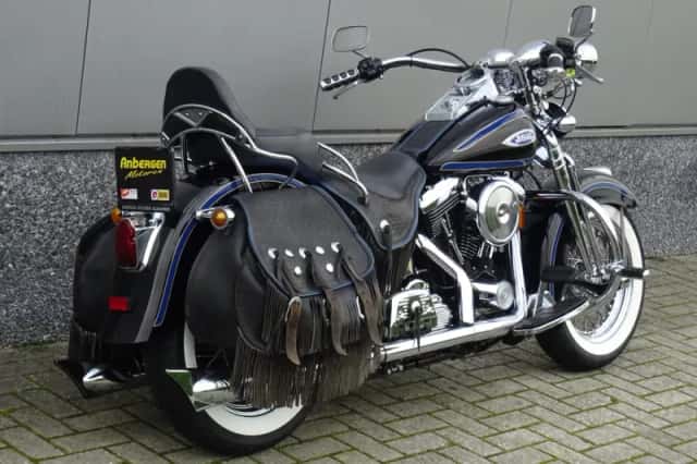 Harley-Davidson Heritage FLSTS SPRINGER (1998) thumbnail 3