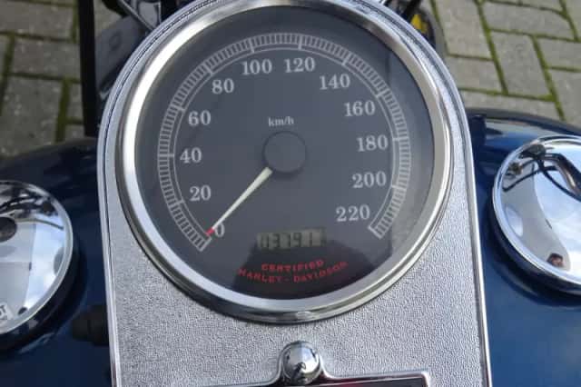 Harley-Davidson Heritage FLSTS SPRINGER (2001) thumbnail 4