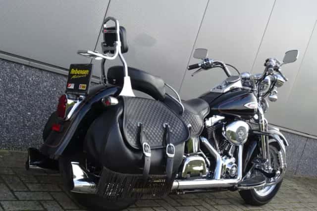 Harley-Davidson Heritage FLSTS SPRINGER (2002) thumbnail 3