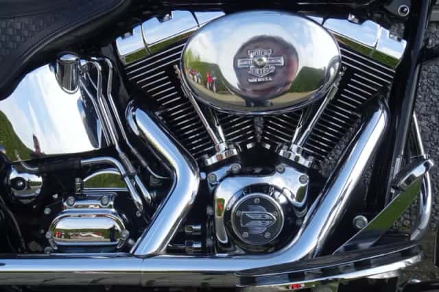 Harley-Davidson Heritage FLSTS SPRINGER (2002) thumbnail 4