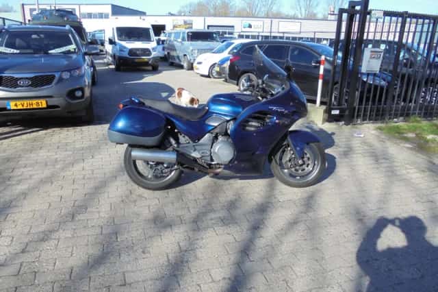 Triumph Trophy 1200 (1997) thumbnail 3