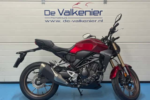 Honda CB300R (2024) thumbnail 1