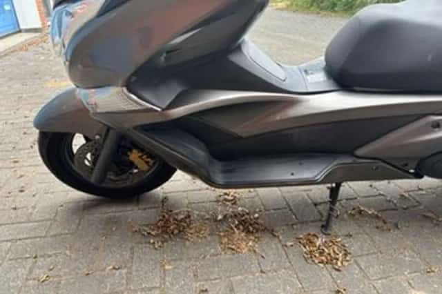 Honda Silver Wing 600 (2011) thumbnail 6