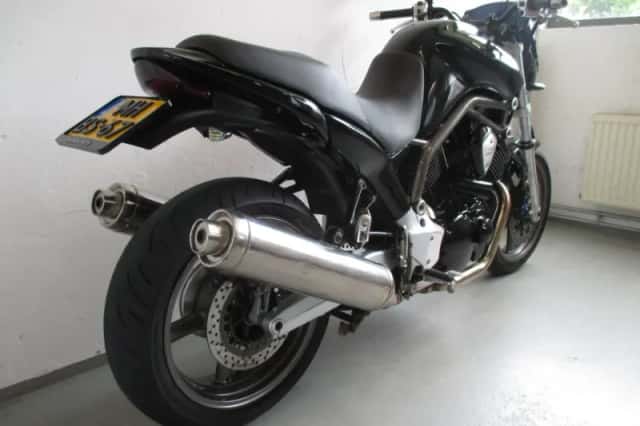 BT1100 Bulldog (2024) thumbnail 2