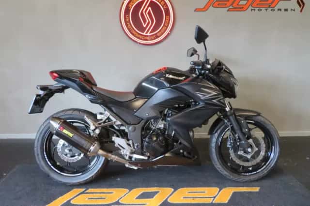 Kawasaki Z300 (2016) thumbnail 1