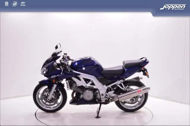 Suzuki SV1000 (2004) thumbnail 6