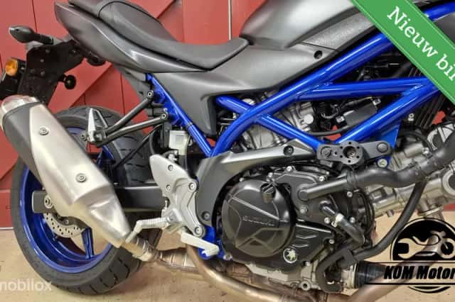 Suzuki SV 650 (2022) thumbnail 6