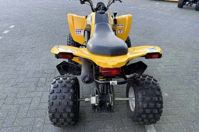 Can-Am DS 250 (2019) thumbnail 4