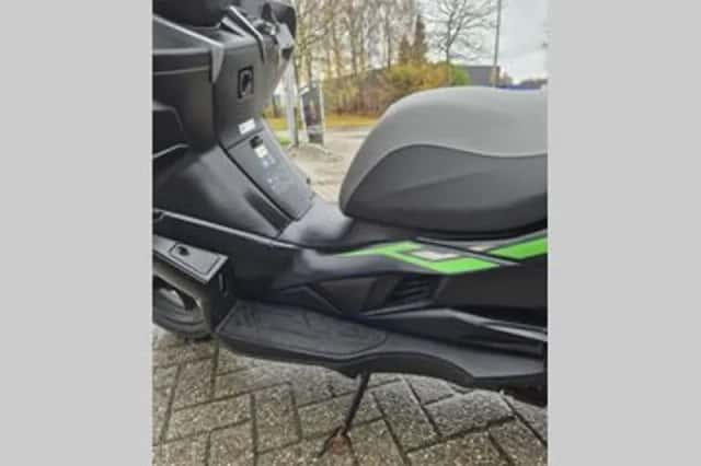 Kawasaki J 300 (2019) thumbnail 2