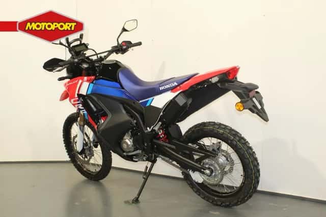 Honda CRF 300 Rally (2026) thumbnail 4