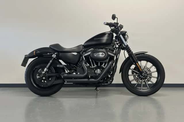 Harley-Davidson 883N IRON (2010) thumbnail 2