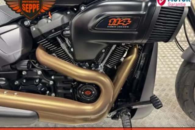 Harley-Davidson Softail (2019) thumbnail 2