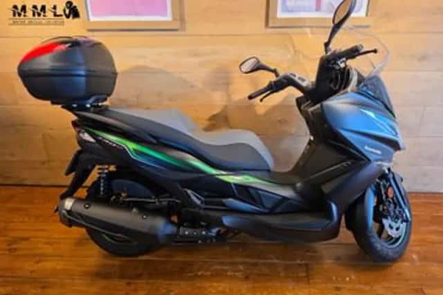 Kawasaki J 300 (2019) thumbnail 2