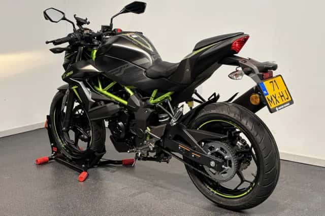 Kawasaki Z125 (2025) thumbnail 4