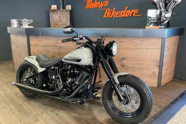 Harley-Davidson Softail Custom (2009) thumbnail 3