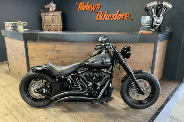 Harley-Davidson Softail Custom (2009) thumbnail 1