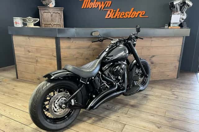 Harley-Davidson Softail Custom (2009) thumbnail 2