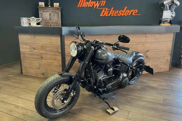 Harley-Davidson Softail Custom (2009) thumbnail 5