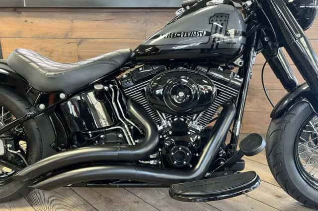 Harley-Davidson Softail Custom (2009) thumbnail 6