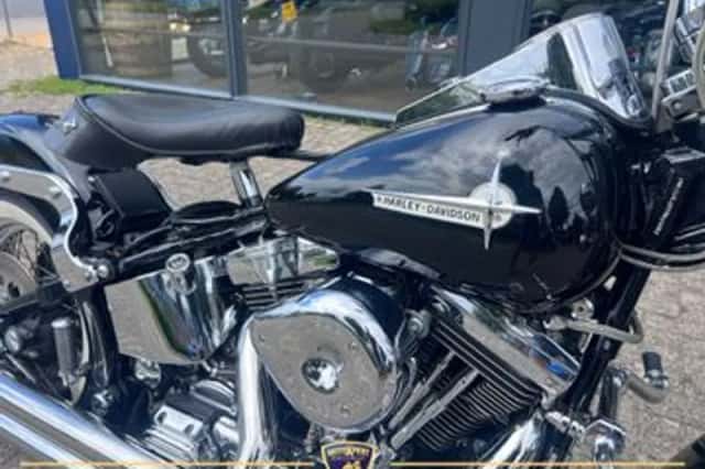 Harley-Davidson Heritage Softail Classic (1995) thumbnail 6