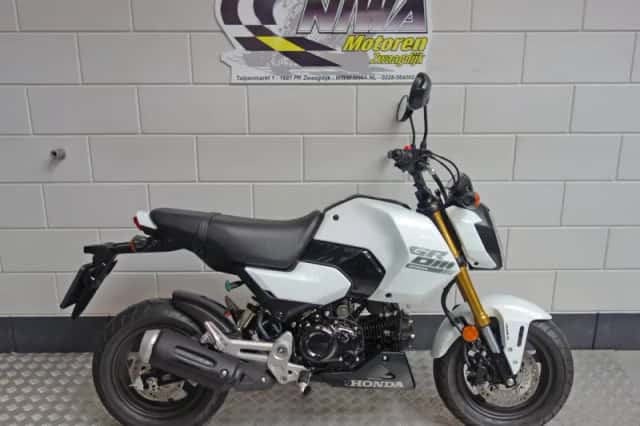 Honda MSX 125 Grom (2025) thumbnail 1