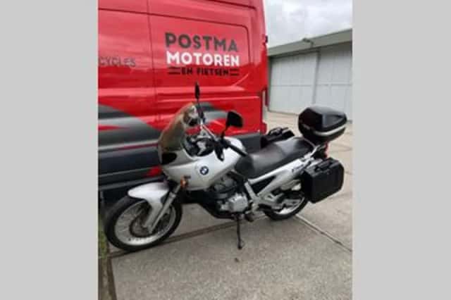 BMW F 650 Funduro (1999) thumbnail 5