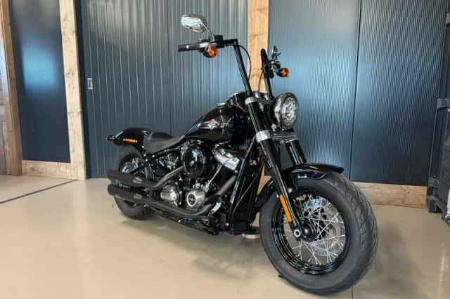 Harley-Davidson Softail Slim (2021) thumbnail 2