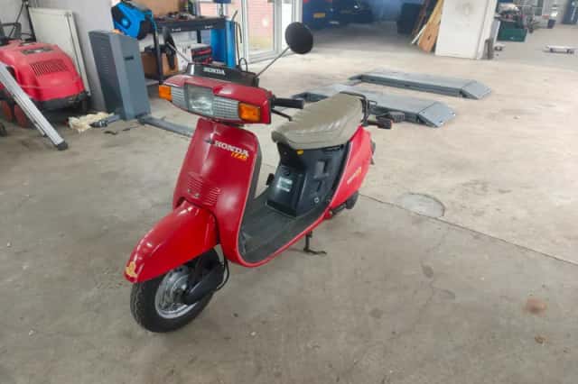Honda Scooter (1988) thumbnail 1
