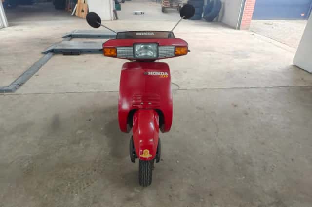 Honda Scooter (1988) thumbnail 2