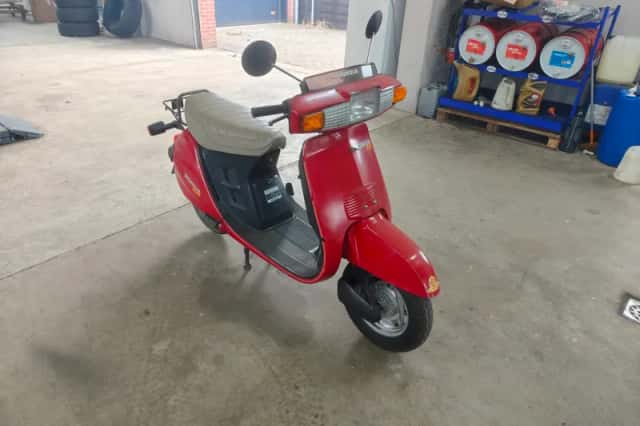 Honda Scooter (1988) thumbnail 3