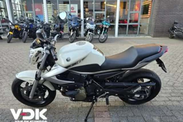 Yamaha XJ6 (2009) thumbnail 3