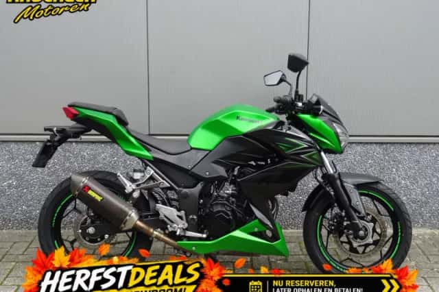 Kawasaki Z 300 (2017) thumbnail 1