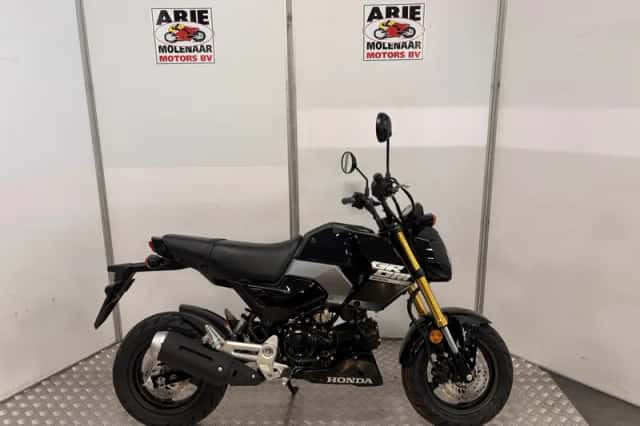 Honda MSX 125 Grom (2026) thumbnail 1