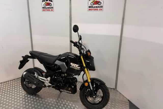Honda MSX 125 Grom (2026) thumbnail 2