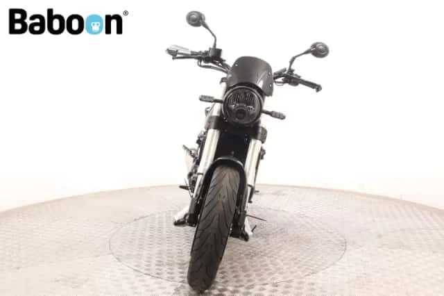 Benelli Leoncino 500 (2022) thumbnail 3