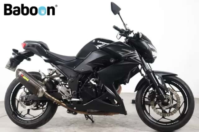 Kawasaki Z300 (2016) thumbnail 1
