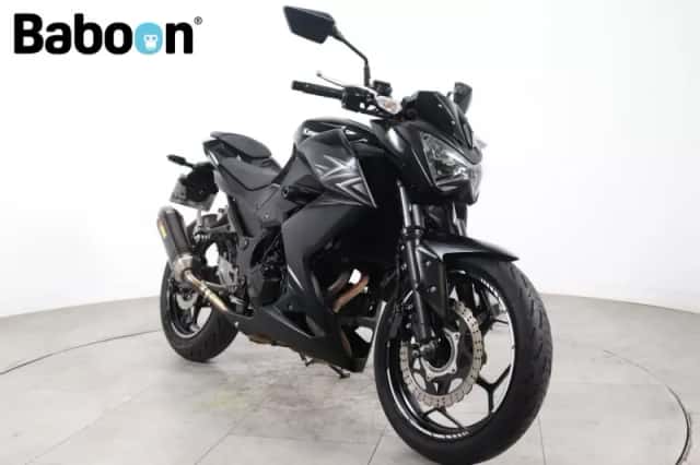 Kawasaki Z300 (2016) thumbnail 2