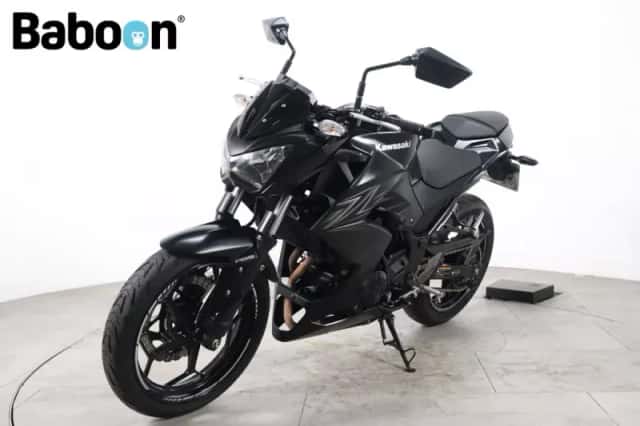 Kawasaki Z300 (2016) thumbnail 4