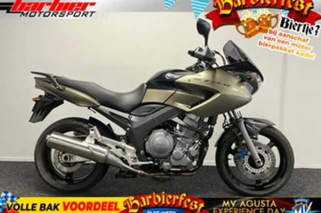 Yamaha TDM 900 (2008) thumbnail 1