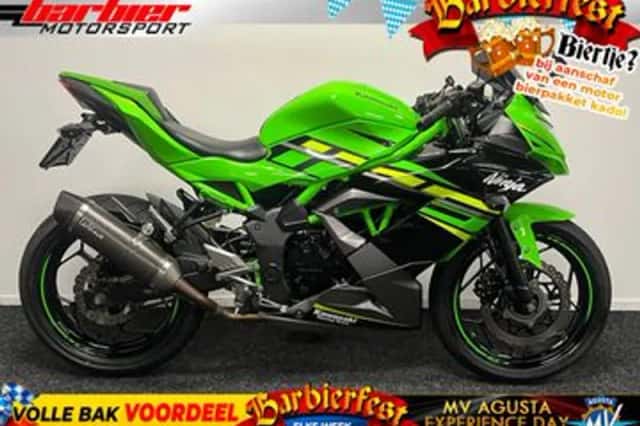 Kawasaki Ninja 125 (2020) thumbnail 1