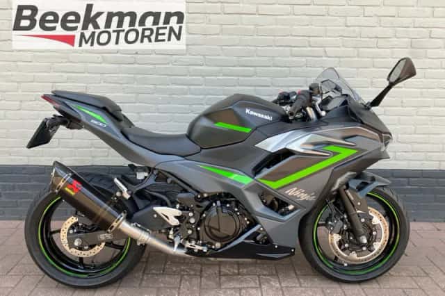 Kawasaki Ninja 500 (2024) thumbnail 1