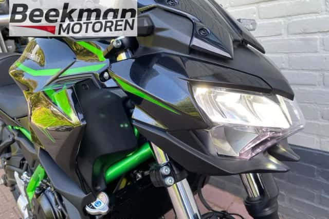Kawasaki Z650 (2024) thumbnail 6