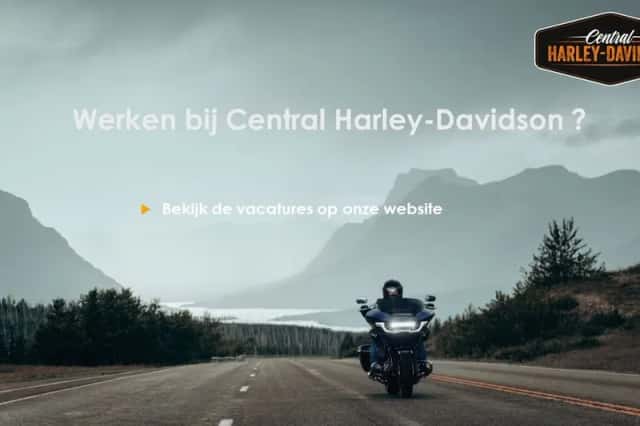 Harley-Davidson Nightster (2026) thumbnail 6