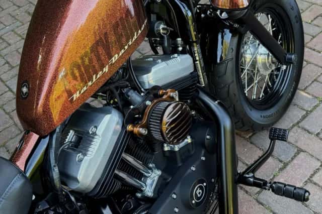Harley-Davidson Sportster 1200 (2011) thumbnail 6